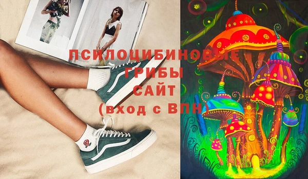 MDMA Premium VHQ Аркадак