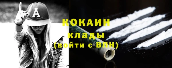 трава Арсеньев
