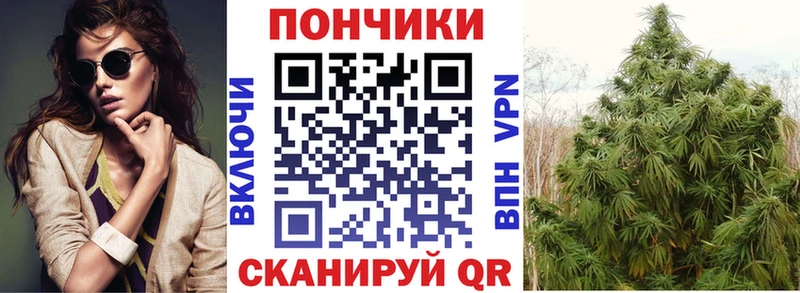Каннабис план Баймак