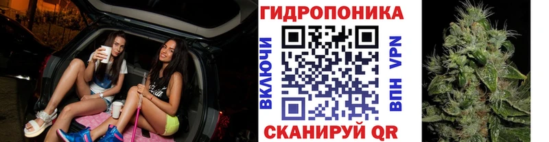 Конопля OG Kush Баймак